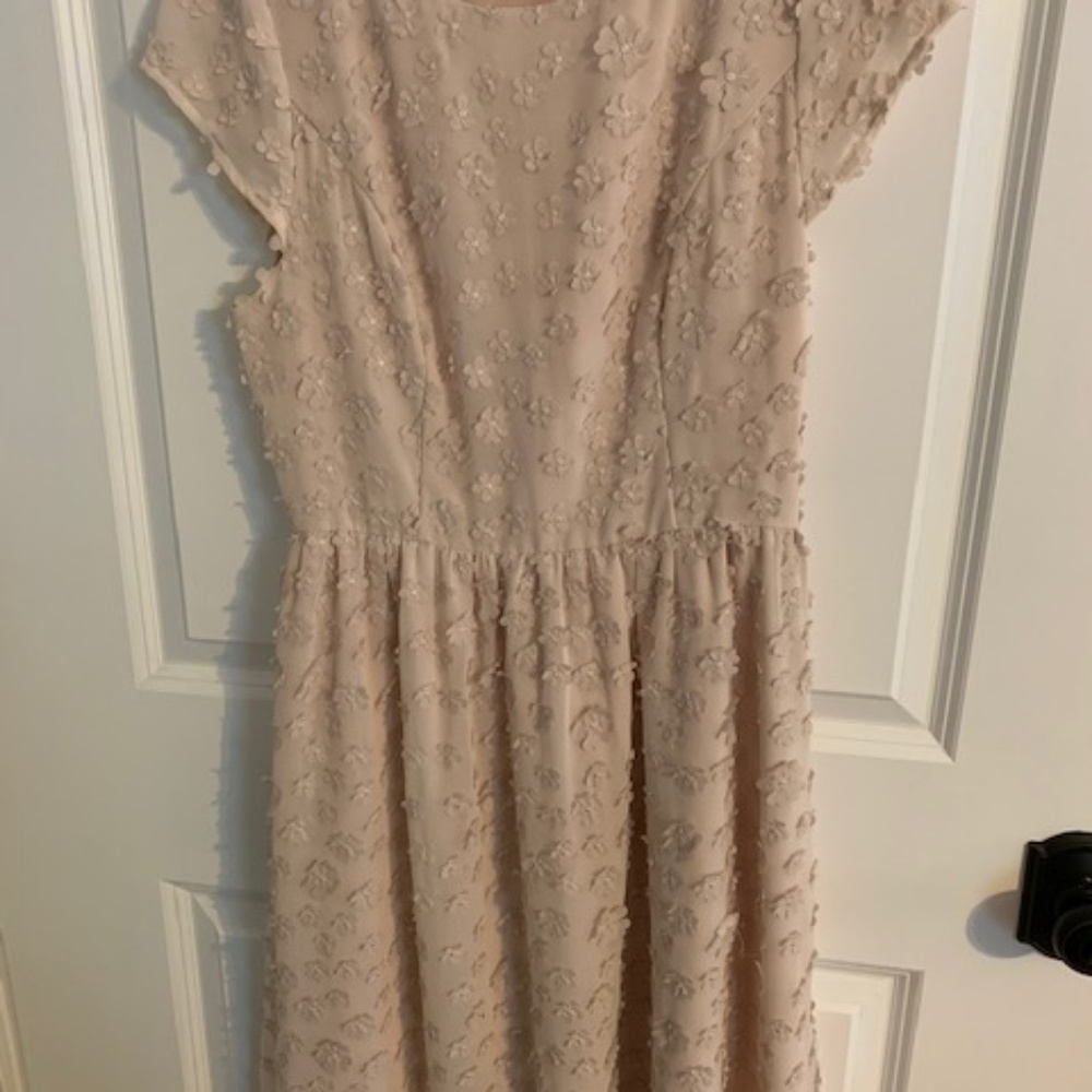 Lace & Mesh - flower dress - m/Medium - EUC